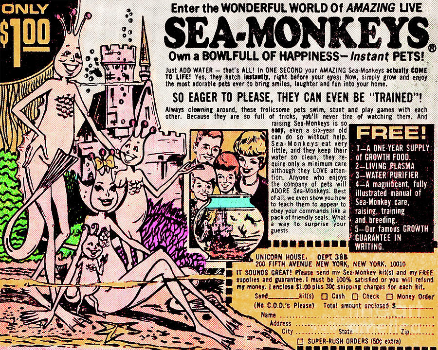 Seamonkey Comic Book Ad