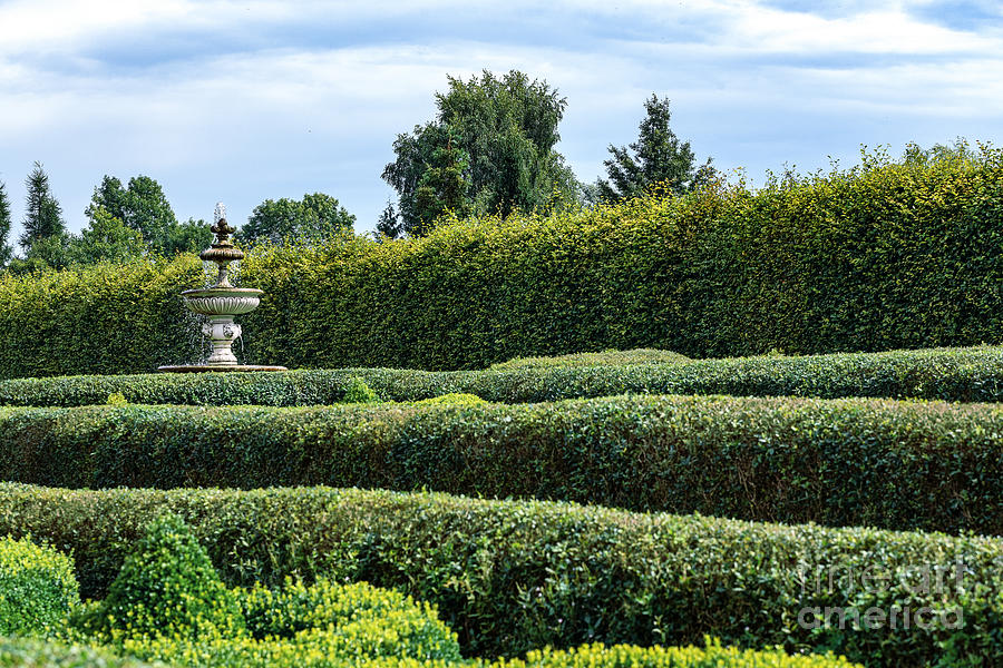 Classic Garden With A Hedge Photograph