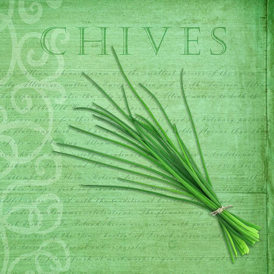 Typography Photograph - Classic Herbs Chives by Cora Niele
