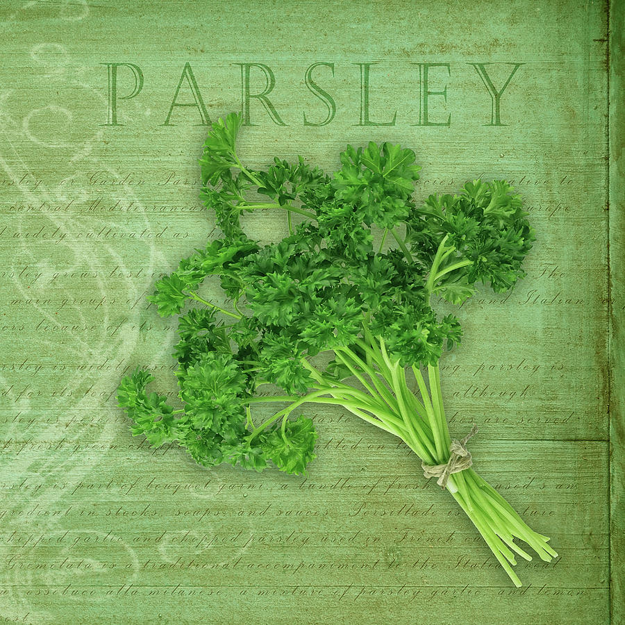 Typography Photograph - Classic Herbs Parsley by Cora Niele