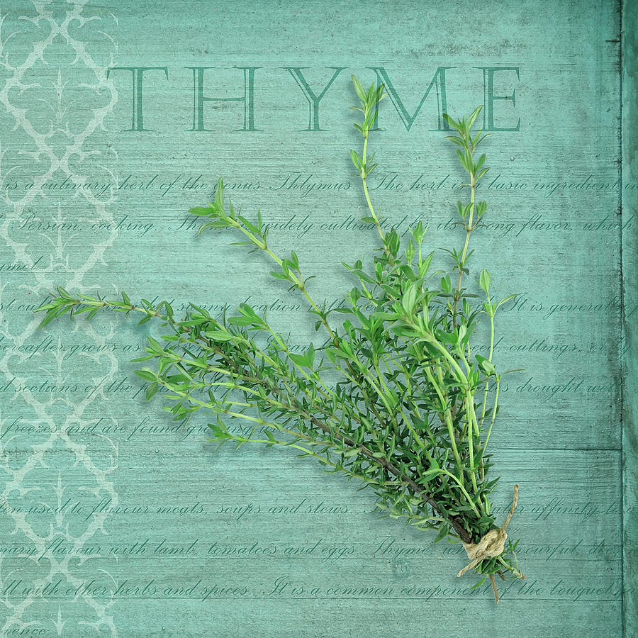 Typography Photograph - Classic Herbs Thyme by Cora Niele