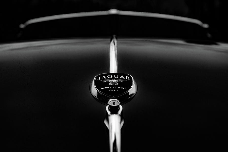 Classic Jaguar In Classic Black And White Photograph