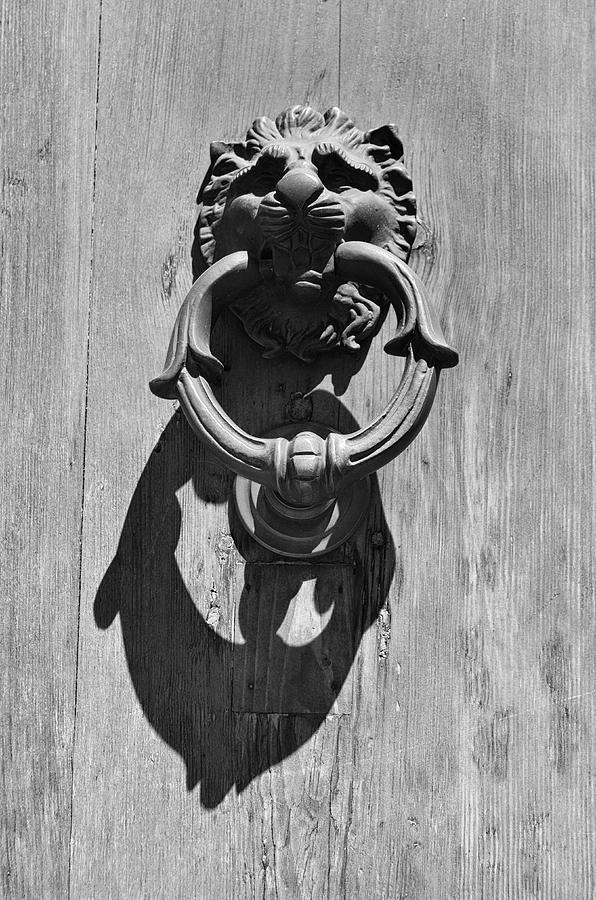 Classic Lion Head Brass Door Knocker with Shadow Rome Italy Black and White Photograph by Shawn OBrien