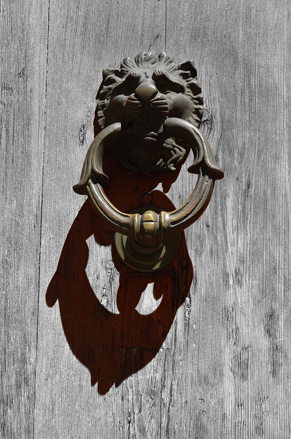 Classic Lion Head Brass Door Knocker with Shadow Rome Italy Color Splash Digital Art by Shawn OBrien