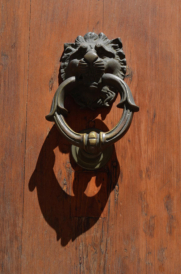 Classic Lion Head Brass Door Knocker with Shadow Rome Italy Photograph by Shawn OBrien