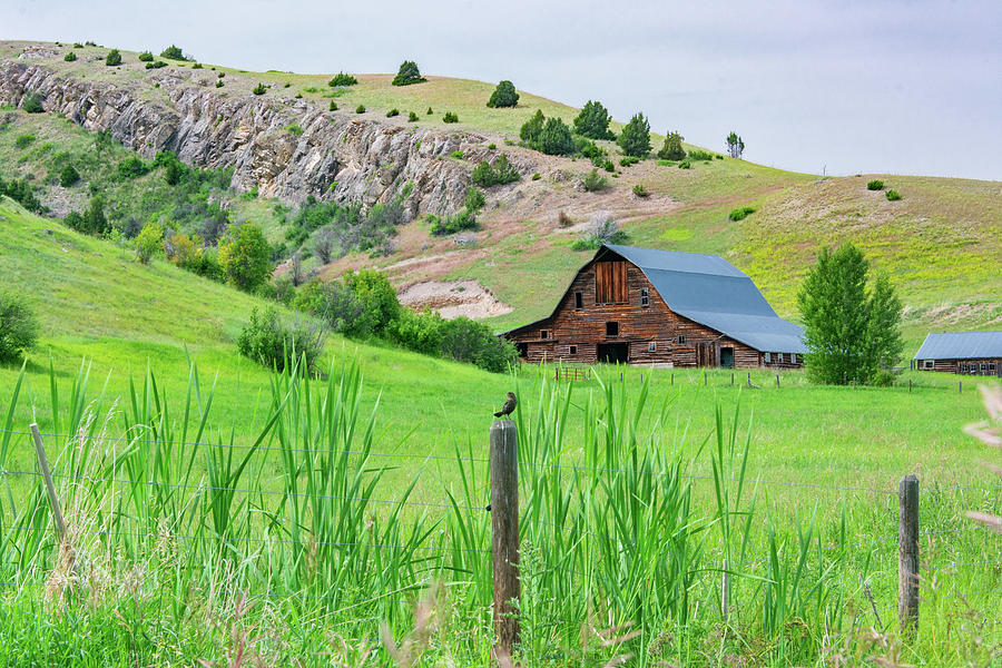 Classic Montana Barn Photograph by Douglas Wielfaert