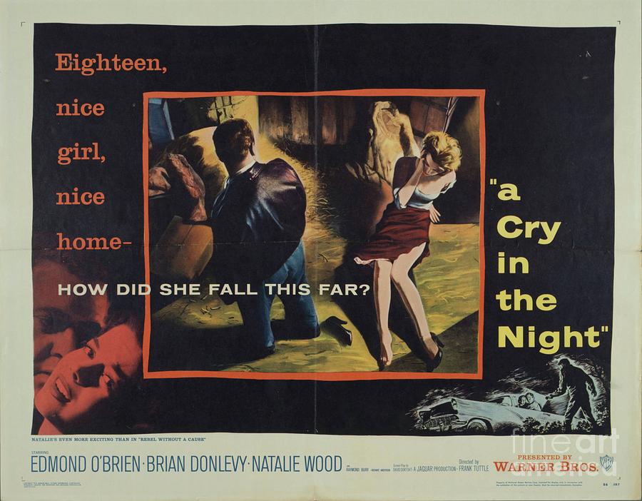 Classic Movie Poster - A Cry in the Night Painting by Esoterica Art Agency
