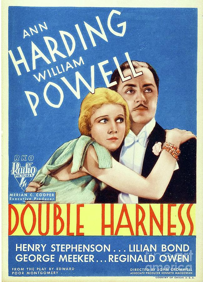Classic Movie Poster - Double Harness Painting