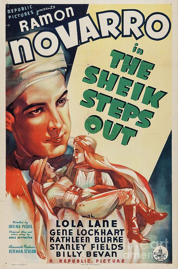 Classic Movie Poster - The Sheik Steps Out Painting