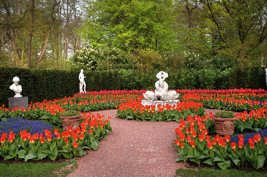 Classic Ornamental Garden with Sculptures In Keukenhof Photograph by Jenny Rainbow