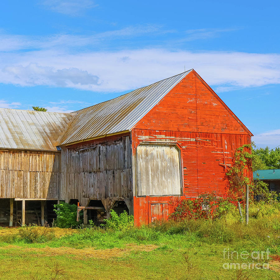 Classic Red Barn Vermont Square Format Photograph by Edward Fielding