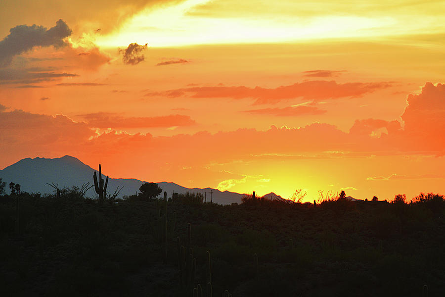 Classic Sonoran Sunset  Photograph by Chance Kafka