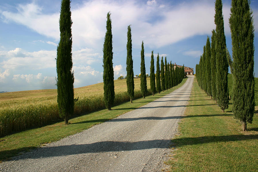 Classic Tuscan Farmhouse Photograph by Timothyball