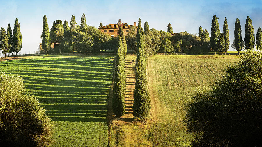 Tree Photograph - Classic Tuscany Italy by Joan Carroll