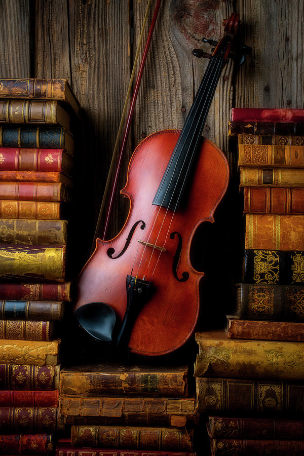 Classic Violin And Old Books Photograph by Garry Gay