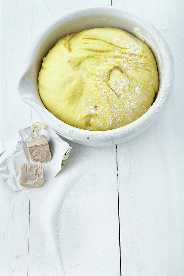 Classic Yeast Dough In A Mixing Bowl Photograph by Stockfood Studios /  Ulrike Holsten