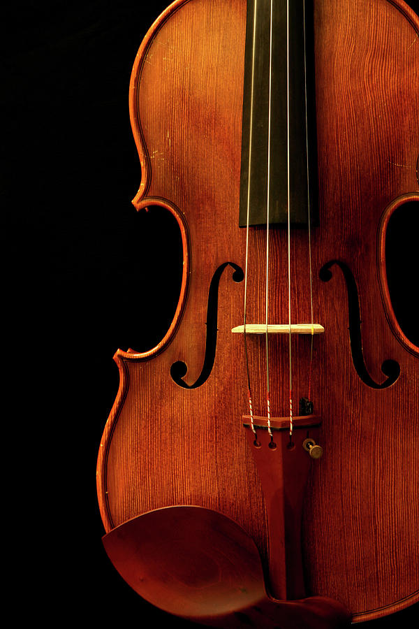Classical Violin Photograph by Yenwen