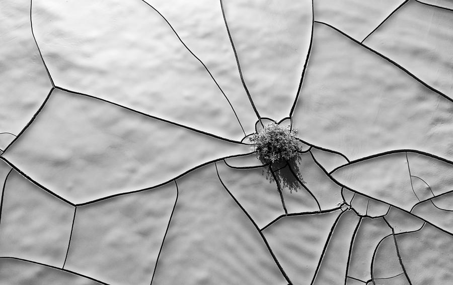 Cracks Photograph - Clay Cracks by Samir Issa Said