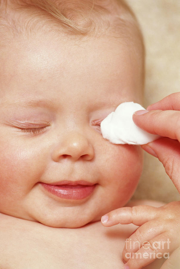 Cleaning Baby Photograph by Paul Whitehill/science Photo Library - Fine ...