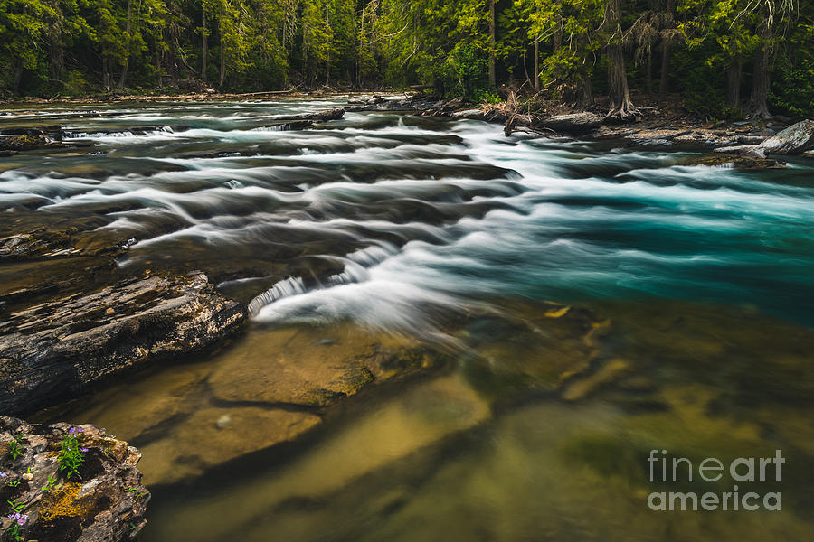 Forest Photograph - Clear Flowing River. Glacier National by Ryantangphoto Forest Photograph - Clear Flowing River. Glacier National by Ryantangphoto