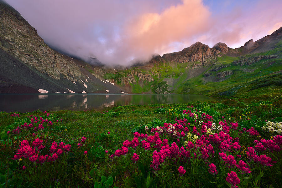 Flower Photograph - Clear Lake Dawn by Mei Xu