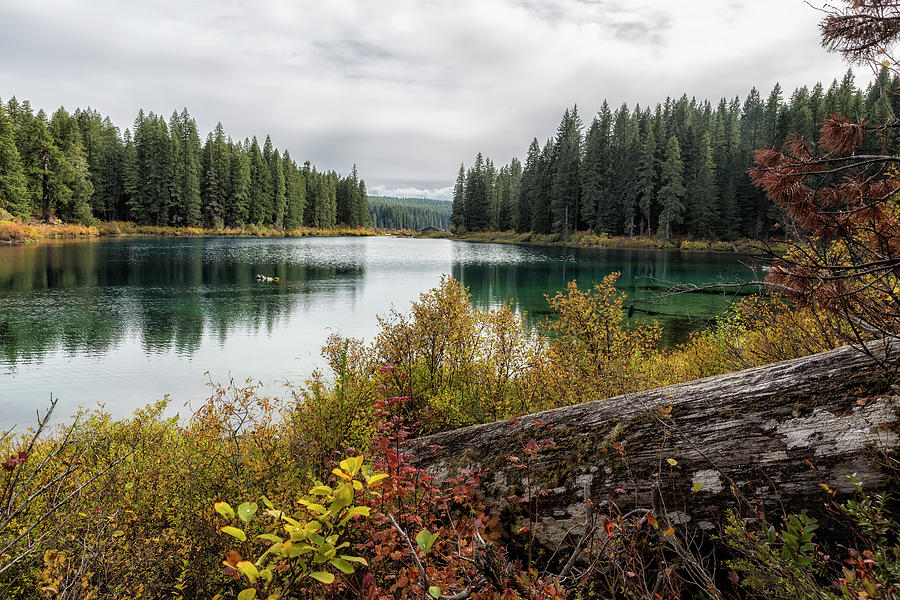 Clear Lake, Fall 2018, No. 3 by Belinda Greb Clear Lake, Fall 2018, No. 3 by Belinda Greb