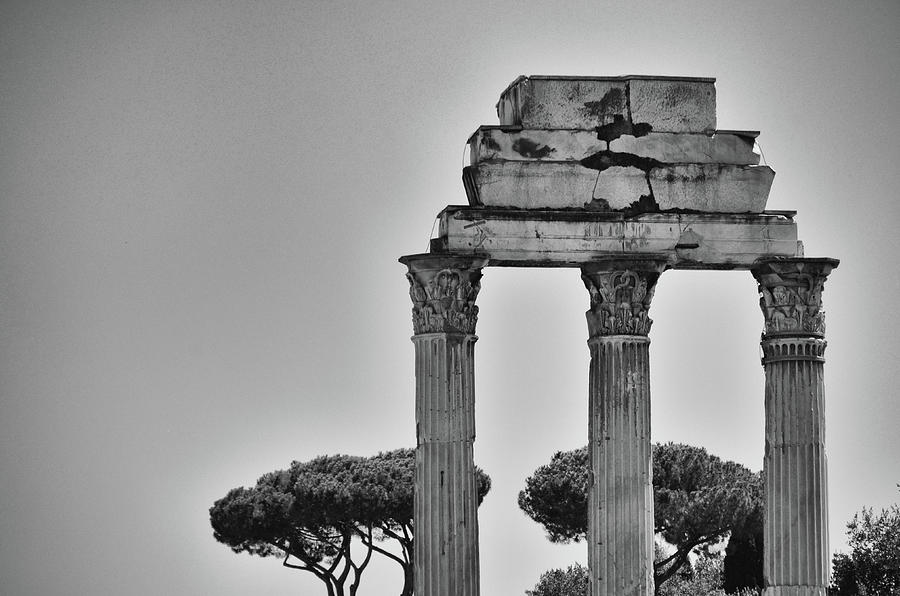 Clear Sky and Stone Pine Tree Backing Temple of Castor and Pollux Roman Forum Italy Black and White Photograph by Shawn OBrien