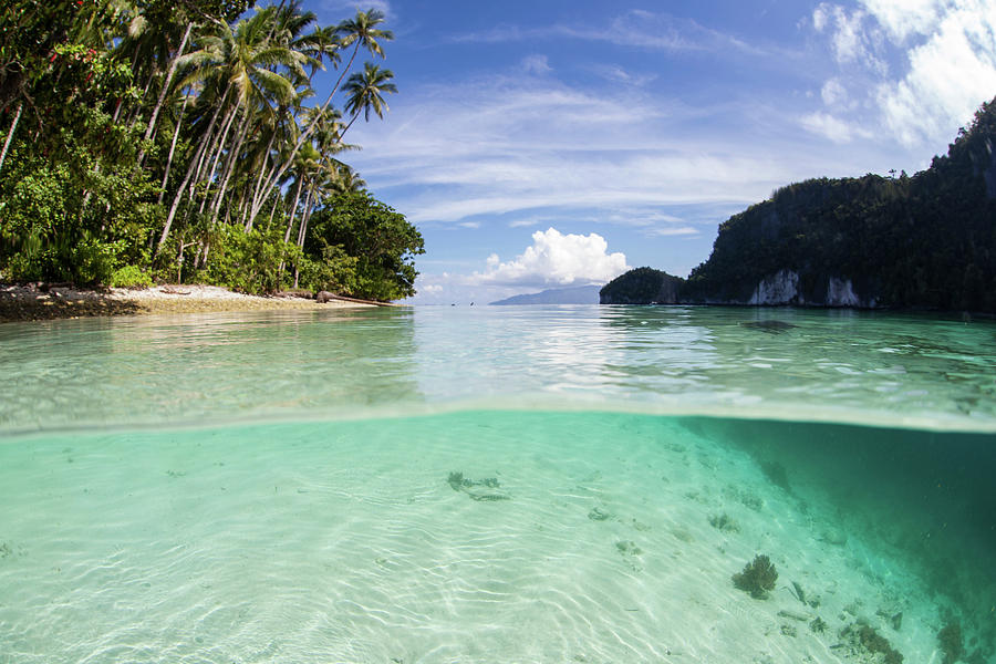 Clear, Warm Water Bathes An Idyllic Photograph by Ethan Daniels - Pixels