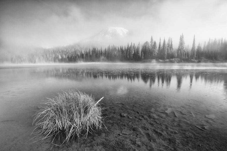 Black And White Photograph - Clearing by Leon U