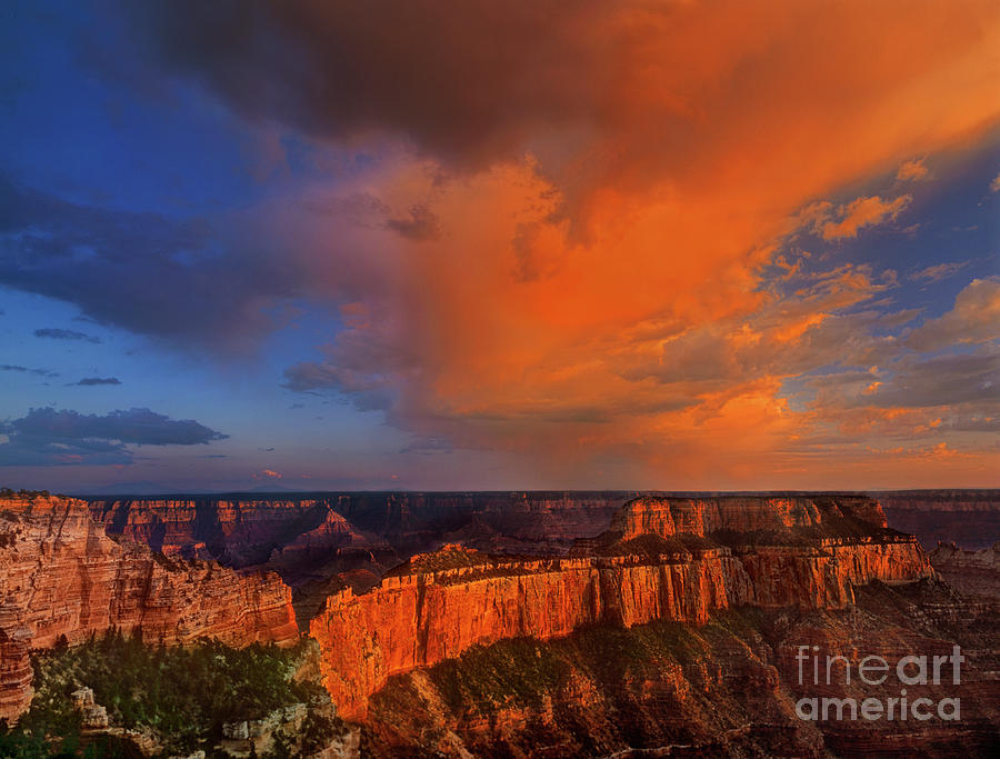 Clearing Storm Cape Royal North Rim Grand Canyon NP Arizona Photograph by Dave Welling