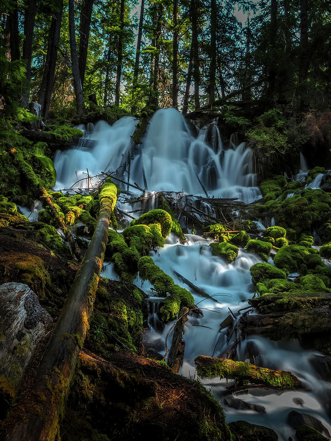 Clearwater Falls Photograph by Kay Wilson - Fine Art America