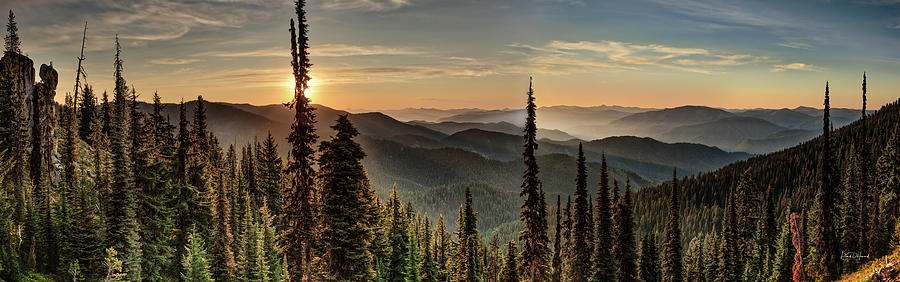 Clearwater National Forest Panoramic Photograph by Leland D Howard