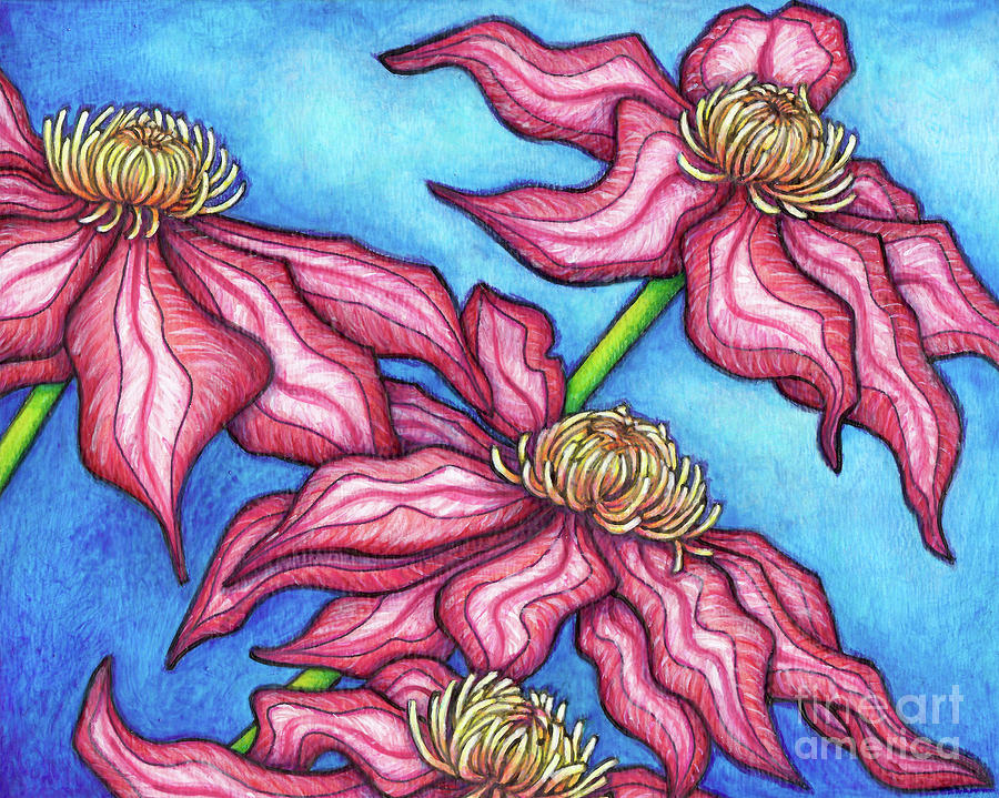 Clematis Asao Painting by Amy E Fraser
