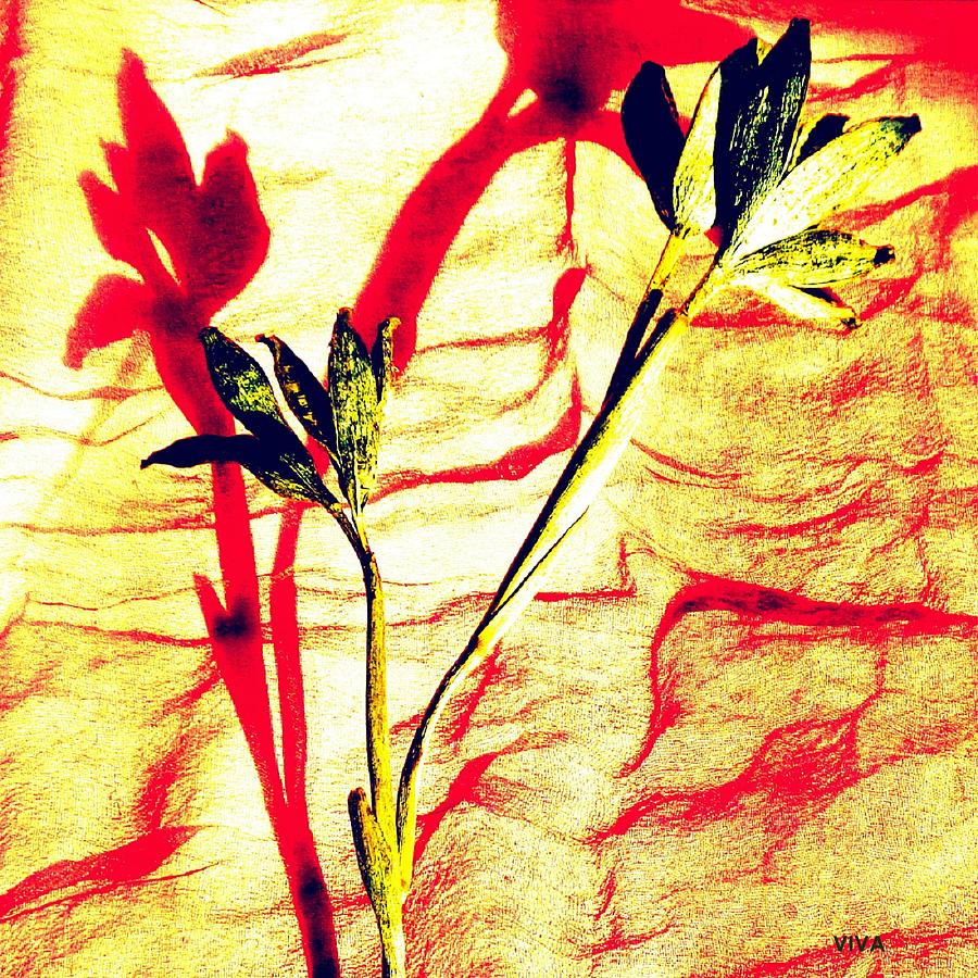 Clementine Sprig Contemporary by VIVA Anderson Clementine Sprig Contemporary by VIVA Anderson