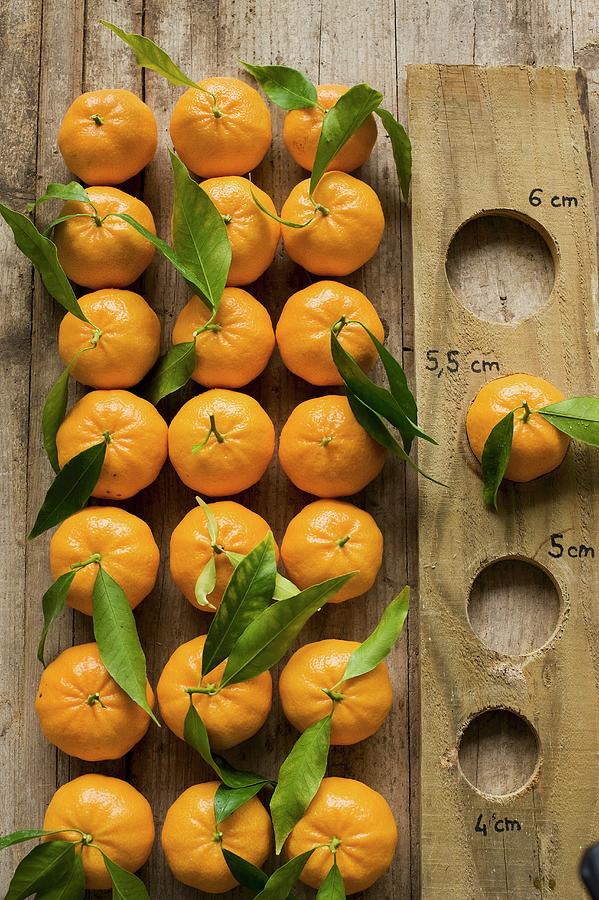 Clementines With A Measuring Board Photograph by Frederic Vasseur