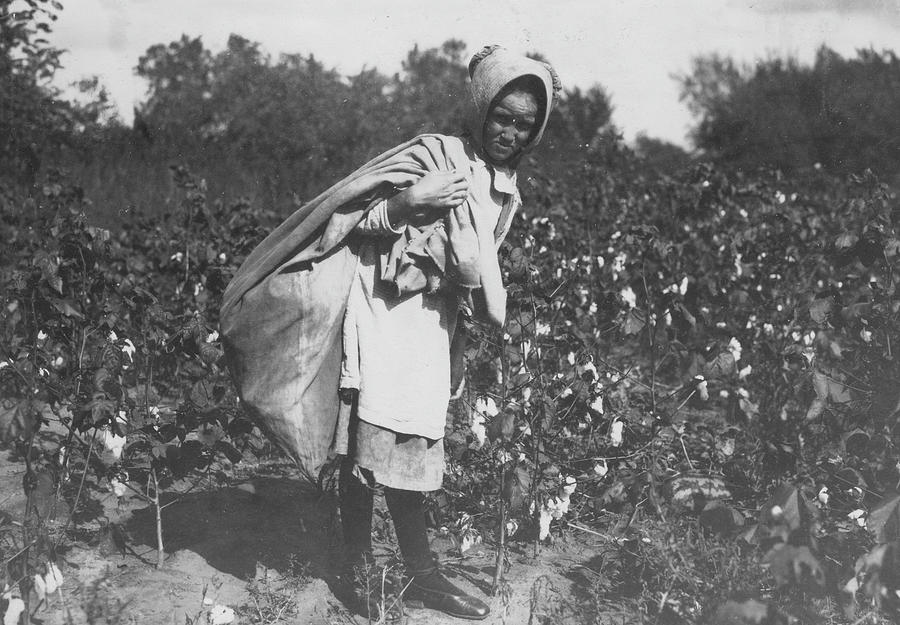 Cleo Campbell, 9 years old, picks 75 to 100 pounds of cotton a day ...