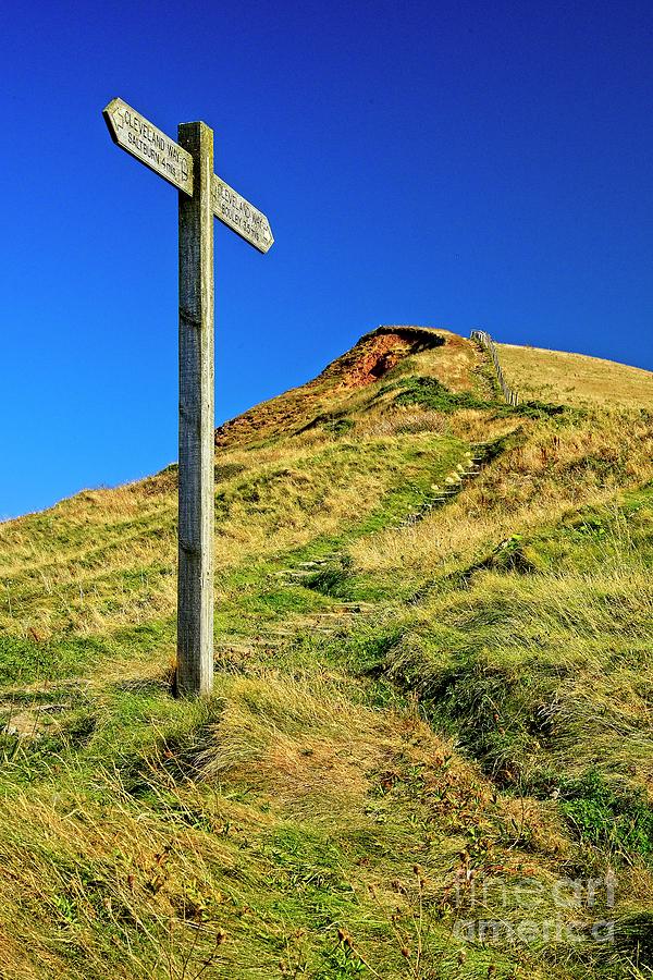 Cleveland Way Footpath Photograph by Martyn Arnold