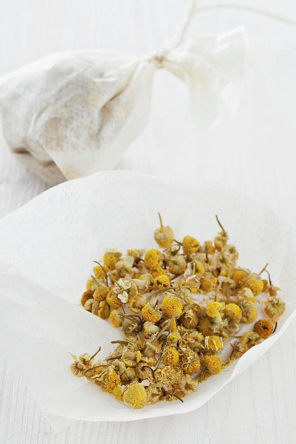 Client Camomile Flowers In Teabags, One Open And One Tied Photograph by Shawn Hempel