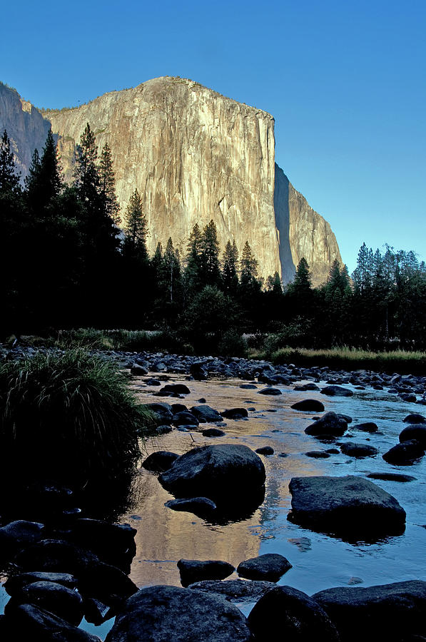 Cliff Face Of El Capitan Lit By Autumn Photograph by Mark Newman
