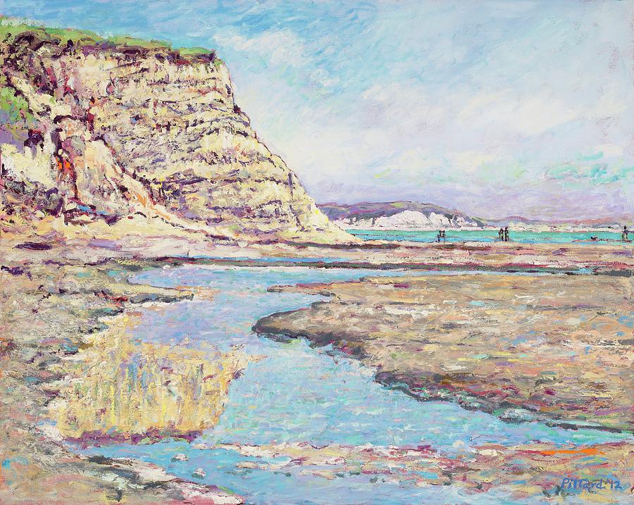 Cliff Reflection, Drakes Beach Painting by Tom Pittard