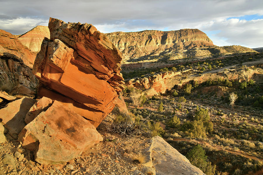 Cliffside Rock Cropping in Colorado National Monument Photograph by Ray Mathis