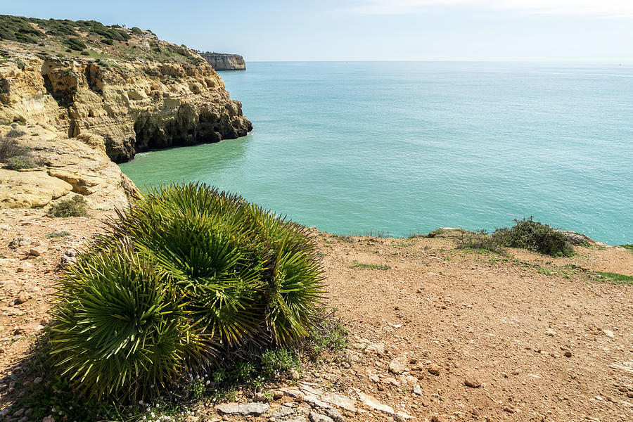 Clifftop Accents - Algarvian Gold Coast Costa De Oiro Portugal Photograph by Georgia Mizuleva