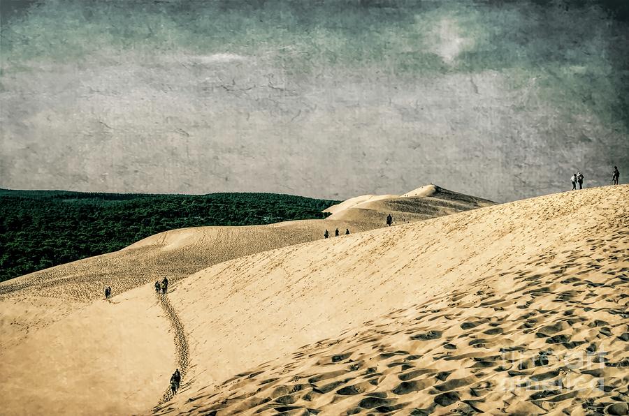 Sand Hill Photograph - Climbing Le Dune du Pilat 2 by Luther Fine Art