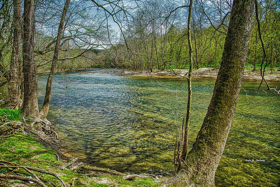 Clinch River Spring by Dale R Carlson Clinch River Spring by Dale R Carlson
