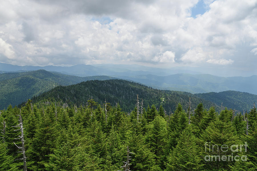 Clingmans Dome 5 Photograph by Phil Perkins