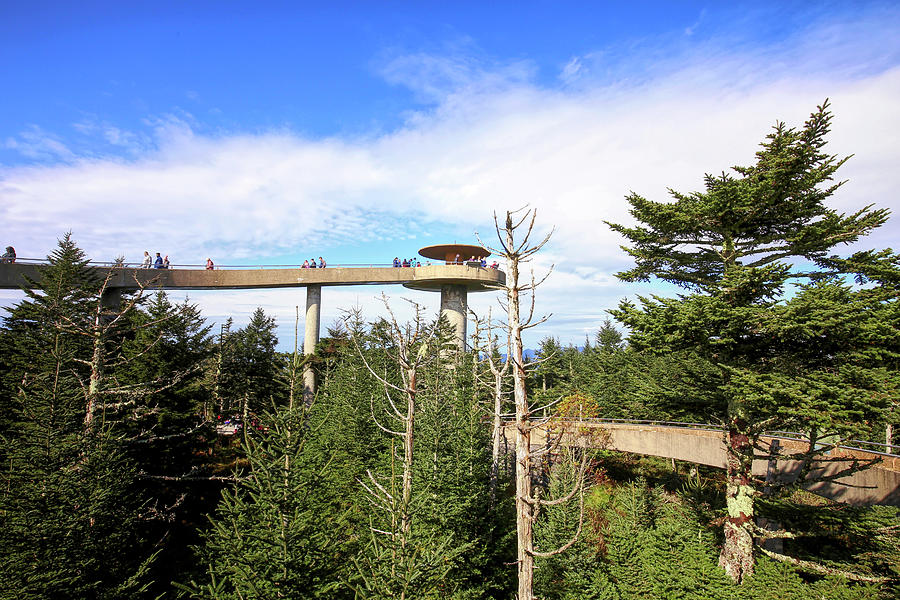 Clingmans Dome Observation Tower Photograph by Judy Vincent