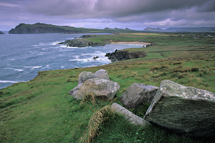 Clogher Head Photograph by S. Greg Panosian