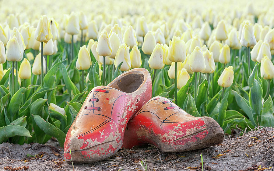 Clogs and tulips Photograph by Jenco van Zalk