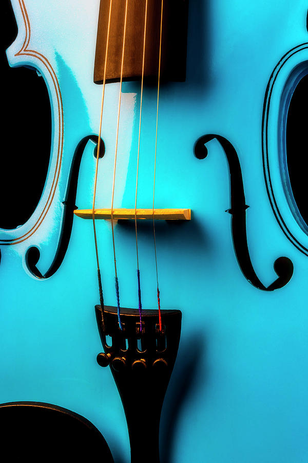 Close Up Blue Violin Photograph by Garry Gay