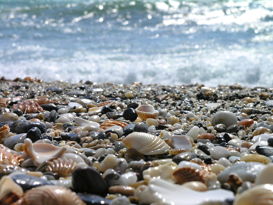 Nature Photograph - Close Up From A Beach by Romeo Reidl